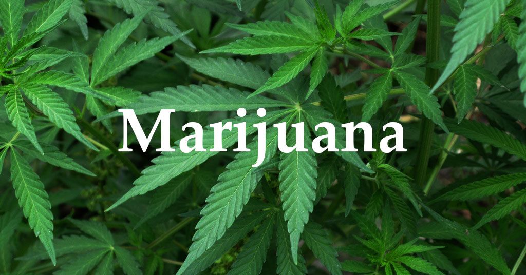 Is Marijuana Harmless?